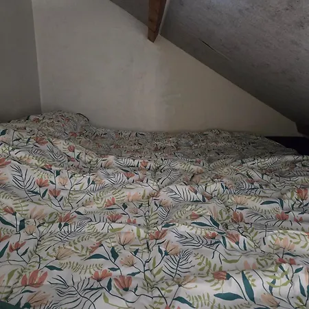 Bed & Breakfast Heerlijk Dromen In 't Maantje Waalwijk